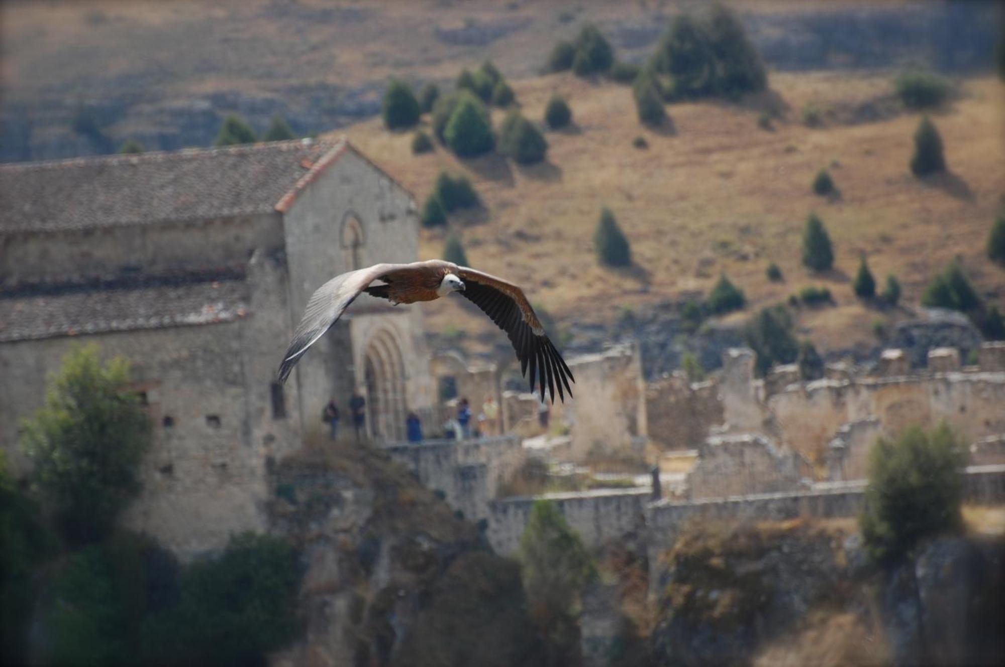 El Rincon De Las Hoces Del Duraton Burgomillodo Exteriör bild
